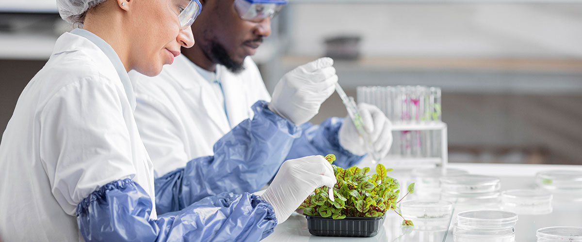 تجهيز الباحثين في العالم النامي